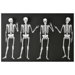 Skeletons Backdrop