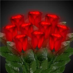 LED Red Roses