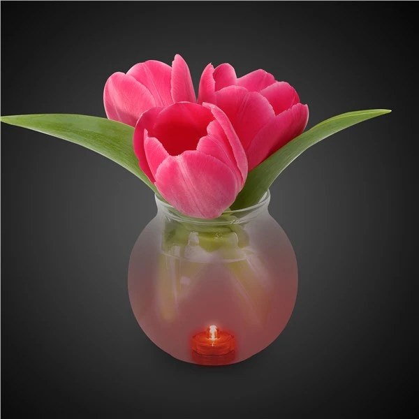 LED Submersible Deco Lights 5 LED Submersible Deco Lights - Image 5